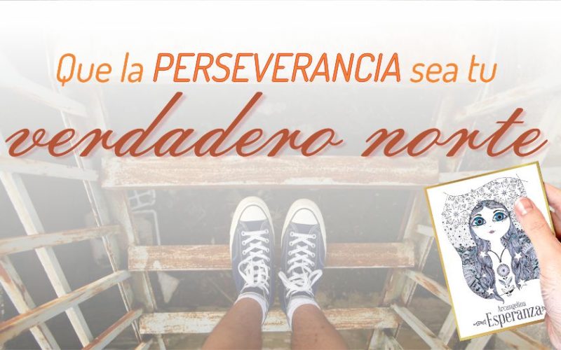 Que la perseverancia sea tu verdadero norte