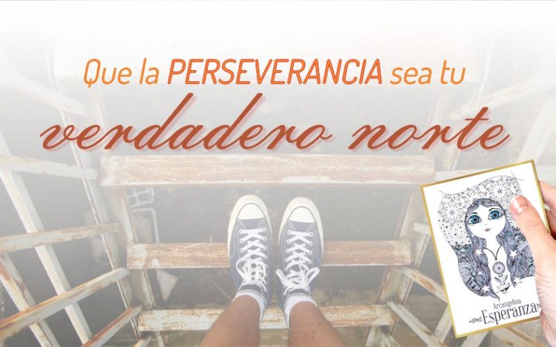 Que la perseverancia sea tu verdadero norte