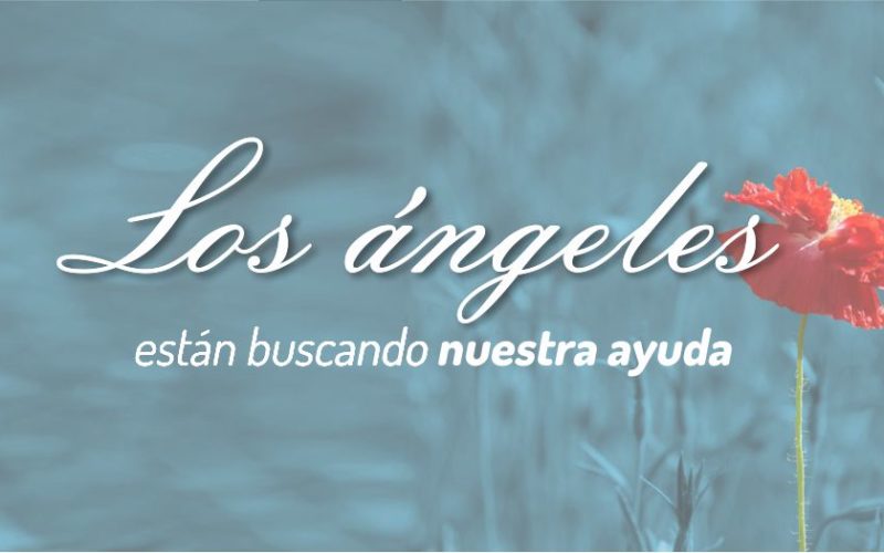 Los Ángeles están buscando nuestra ayuda