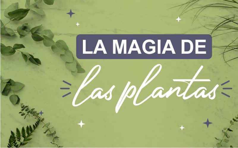 La Magia de las Plantas